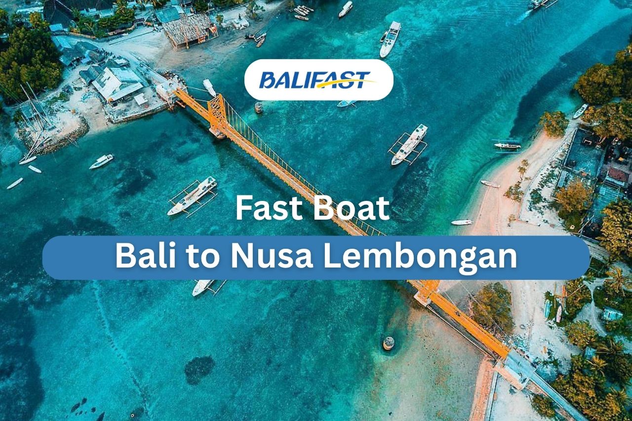 Bali to Nusa Lembongan : Trusted Fast Boat Operators
