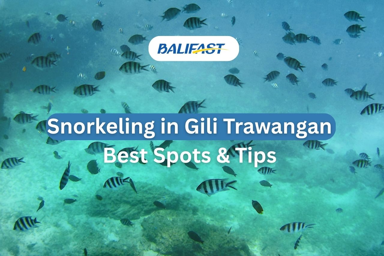 Snorkeling in Gili Trawangan: Best Spots & Tips